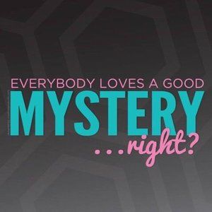 LULAROE MYSTERY BAG